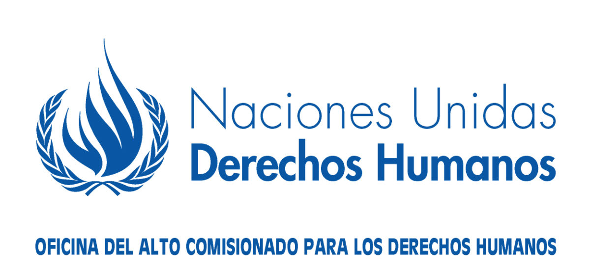 Ddhh Derechos Humanos